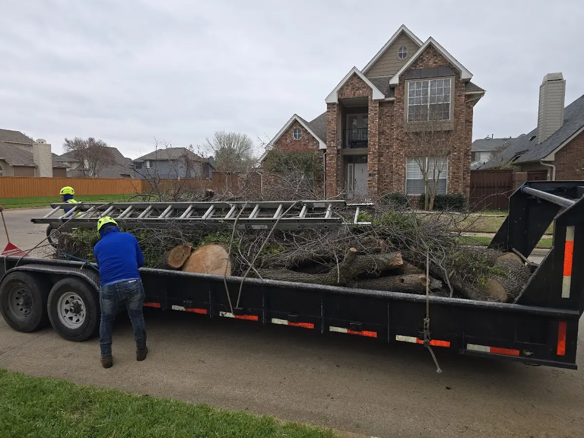 Expert Lot Clearing with proper safety equipment in Chickasha